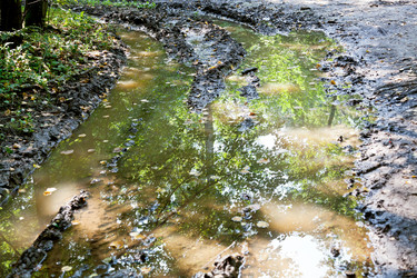 Similar image 2988462