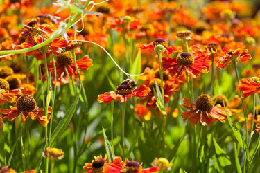 Similar image 2988467