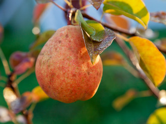 Similar image 2988471