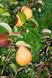 Similar image 2988473