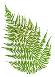 Similar image 2988474