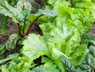 Similar image 2988480