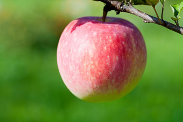 Similar image 2988495