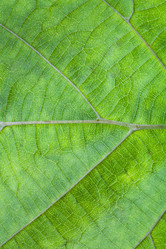 Similar image 2988500