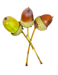 Similar image 2988505