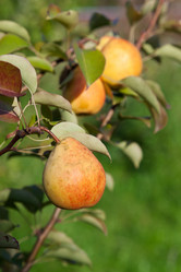 Similar image 2988506