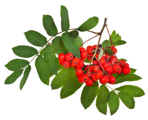 Similar image 2988512