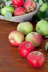 Similar image 2988517