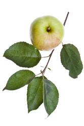 Similar image 2988520