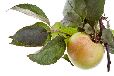 Similar image 2988525