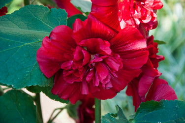 Similar image 2988526