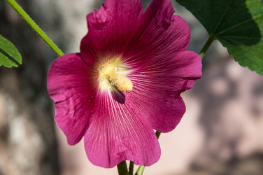 Similar image 2988528