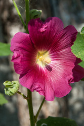 Similar image 2988529