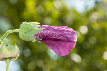 Similar image 2988530