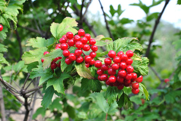 Similar image 2989023