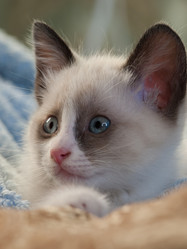 Similar image 2989036