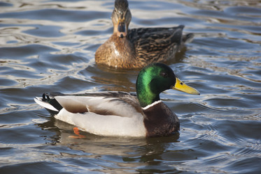 Similar image 2989037