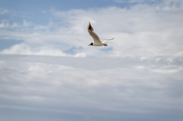 Similar image 2989043