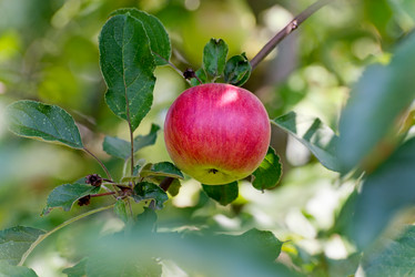 Similar image 2989078