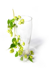 Similar image 2989192