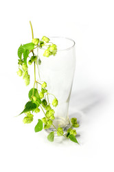 Similar image 2989212