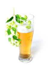 Similar image 2989219