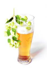 Similar image 2989220