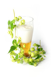 Similar image 2989226