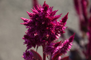 Similar image 2989241