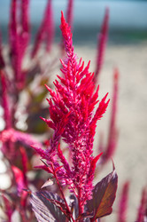 Similar image 2989242