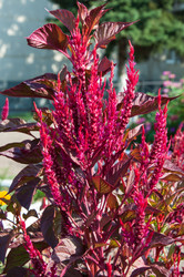 Similar image 2989243