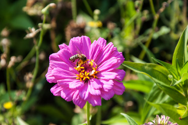 Similar image 2989254