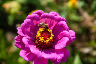 Similar image 2989255