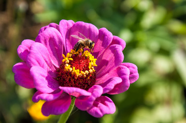 Similar image 2989260