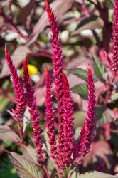 Similar image 2989263