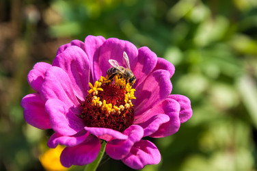 Similar image 2989271