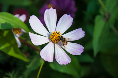 Similar image 2989290