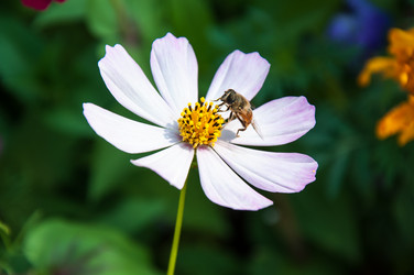 Similar image 2989291