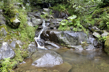 Similar image 2989314