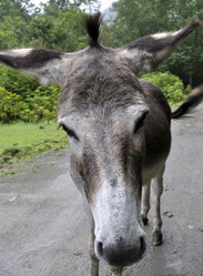 Similar image 2989317