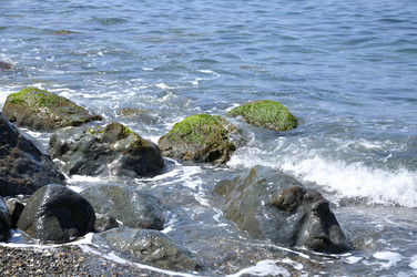 Similar image 2989321