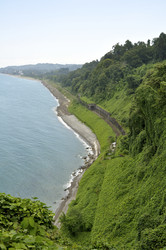 Similar image 2989325