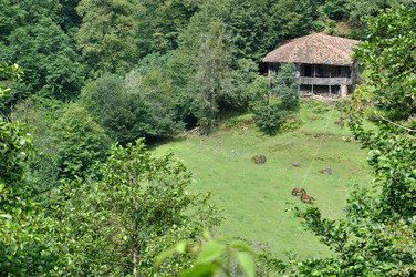 Similar image 2989332