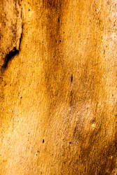 Similar image 2989427