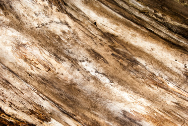 Similar image 2989430