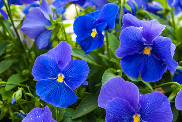 Similar image 2989446