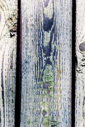 Similar image 2989453