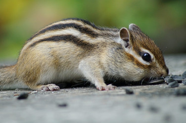 Similar image 2989471