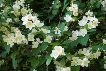 Similar image 2989472