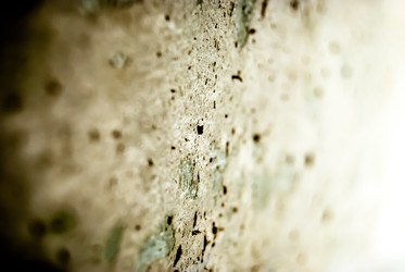 Similar image 2989475